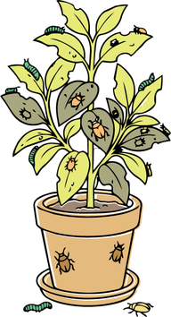 Alert plant illustration
