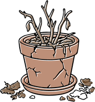 Critical plant illustration